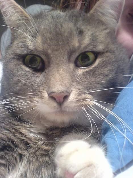 Huskat Mini < 3 - Dejliqt profil billed af Mini < 3 billede 1