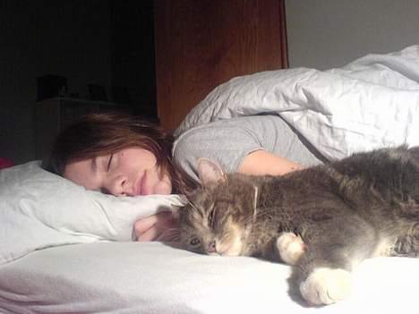 Huskat Mini < 3 - Det var så lii mijn bedste veninde der syntes at hun ville tage nogle billeder af os imens vi sove :´) hygge < 3 billede 3