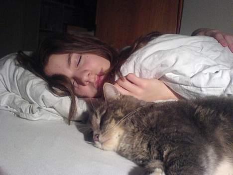 Huskat Mini < 3 billede 5