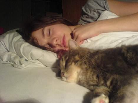 Huskat Mini < 3 billede 6