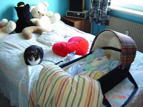 Huskat Patricia - jeg holder vagt hvis mark sku vågne billede 9