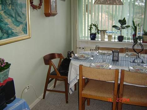 Huskat Patricia - jeg har sat mig til bords jeg vil være sikker på at der er plads til mig billede 10