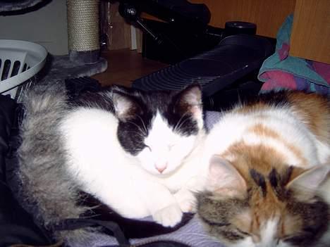 Huskat My billede 12