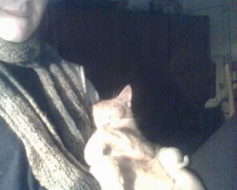 Huskat garfield - sover ved min mor på ryggen billede 2