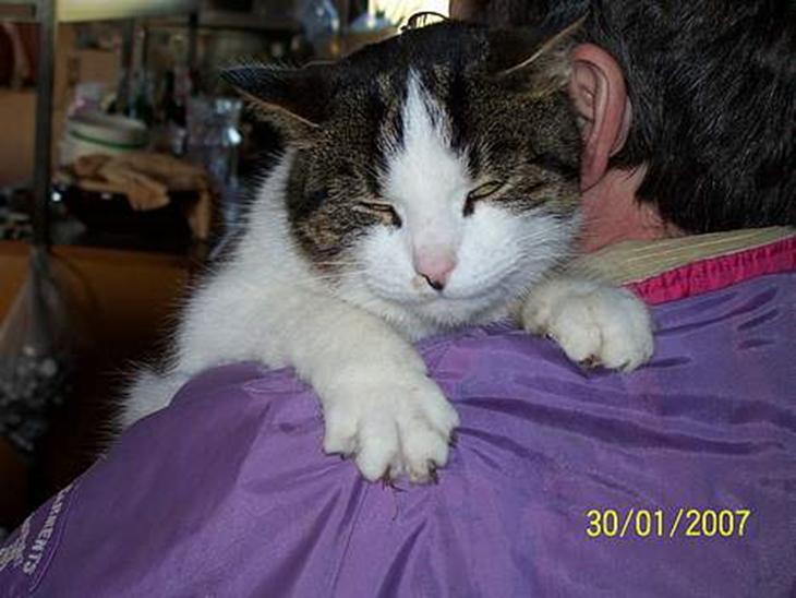 {{currentPhoto.altText}} billede {{currentPhoto.number}}