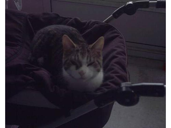 {{currentPhoto.altText}} billede {{currentPhoto.number}}