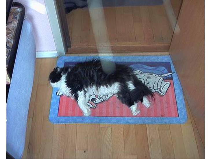 {{currentPhoto.altText}} billede {{currentPhoto.number}}