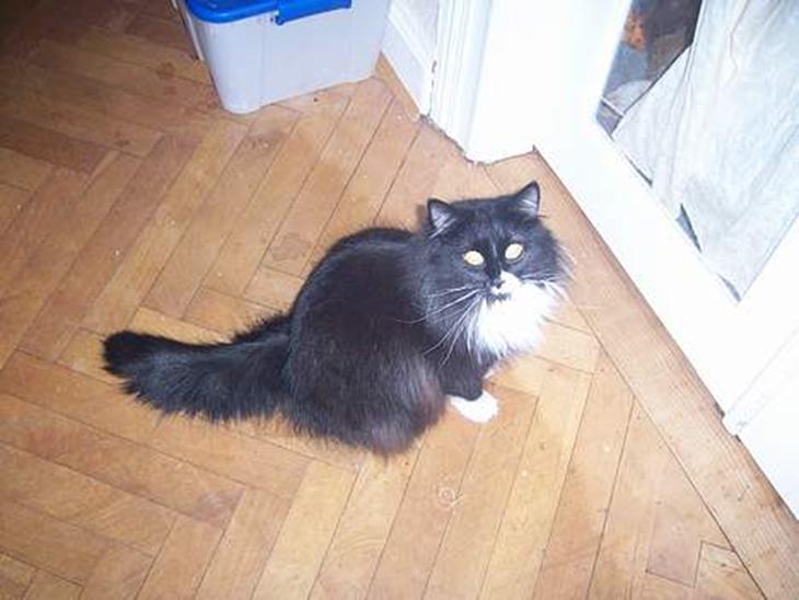 {{currentPhoto.altText}} billede {{currentPhoto.number}}