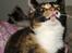 Huskat * Kylle * - Uhh ? :D