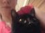 Huskat Mille (NKH's kat) - babyfacet igen=)