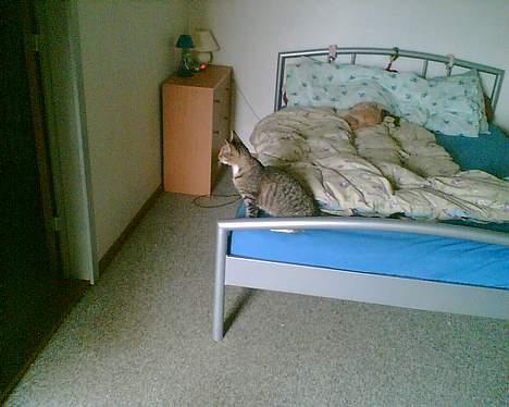 Huskat mulle (død d 28/04-07) billede 9