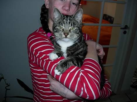 Blanding af racer Klunde DØD - oppe ved min ene mor Cille. Jeg forstod ikke, hvad de mente med "say cheese"??? billede 2