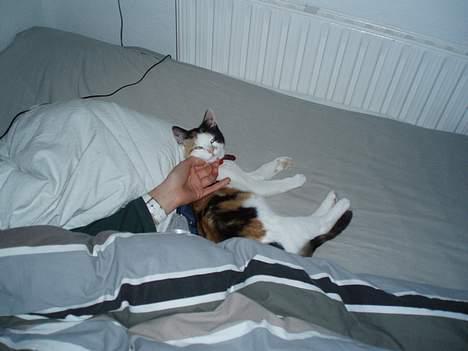 Huskat Putte - Mor nusser mig lige lidt... billede 5