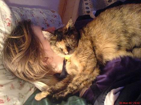 Blanding af racer Pjuskepus - Sove sove sove!!!!! billede 12