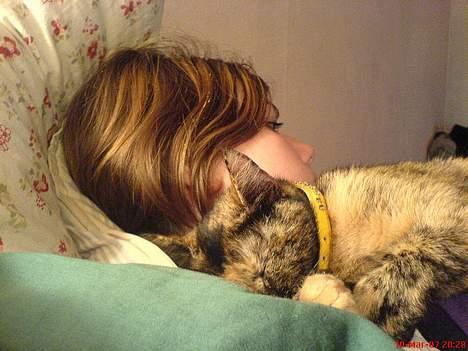 Blanding af racer Pjuskepus - Nu skal jeg fotograferes ikke ANDRE!!!! billede 13