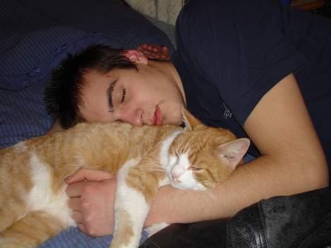 Blanding af racer Oliver billede 7