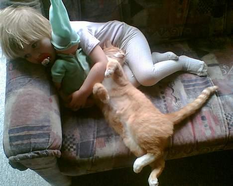 Huskat garfield - sover med nanna billede 14