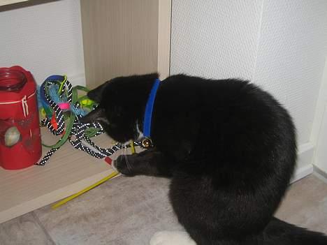 Huskat Garfild billede 9