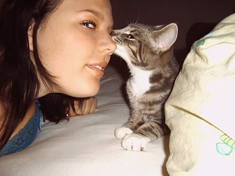 Blanding af racer Toolu lusifer - Giver lige min mor et kys (: billede 7