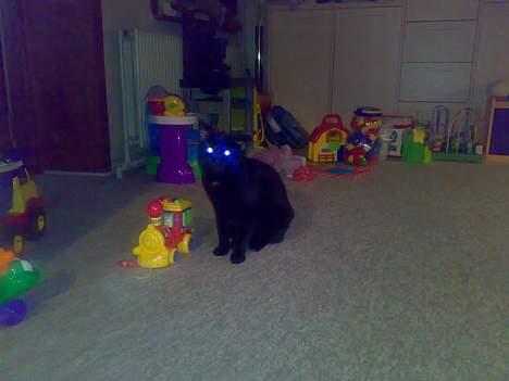 Huskat plet billede 6