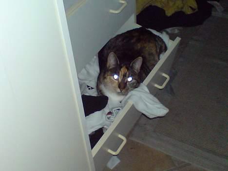 Blanding af racer Plet - Sokkeskuffen kan også bruges.. billede 8