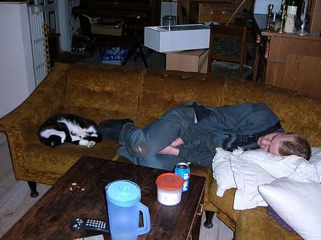 Blanding af racer <3 Adolf <3 - hmmm.....ligger de ikke lidt ens.... billede 14