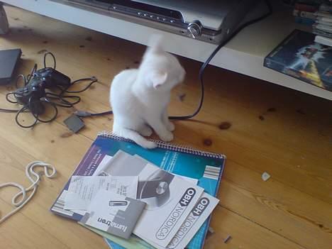 Huskat Pusle - Så kær :D billede 5