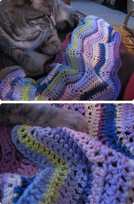 Huskat Malou billede 18