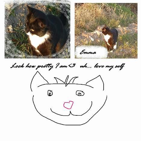 Blanding af racer Emma - Er det ikke bare smukt?! billede 17