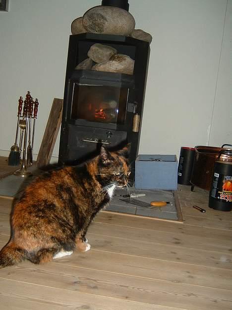 Huskat Mis billede 2