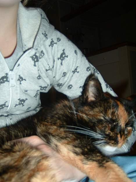 Huskat Mis billede 5