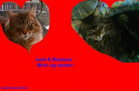 Maine Coon Line *Aflivet d.27/3-07* - Her er min bror og jeg så..Min moars datter Louise har selv lavet det :´) billede 4