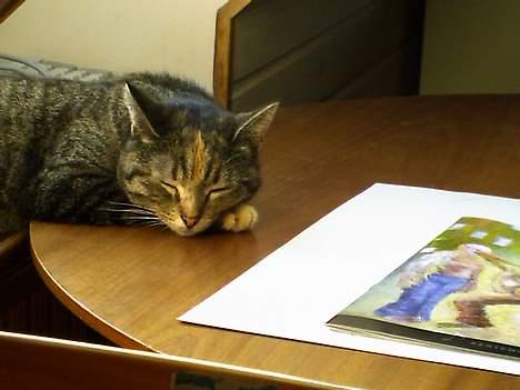 Huskat Pjuske billede 13