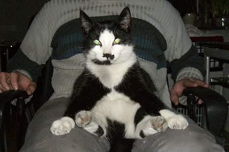 Huskat Gigi - Jeg ligner da far!! billede 14