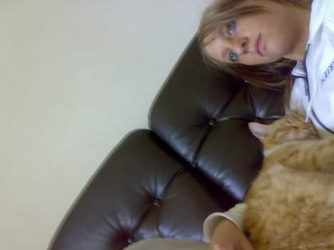 Blanding af racer Oscar billede 2