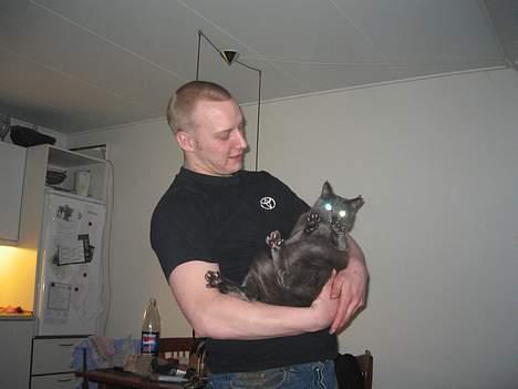 Blanding af racer Herkules (R.I.P) billede 11