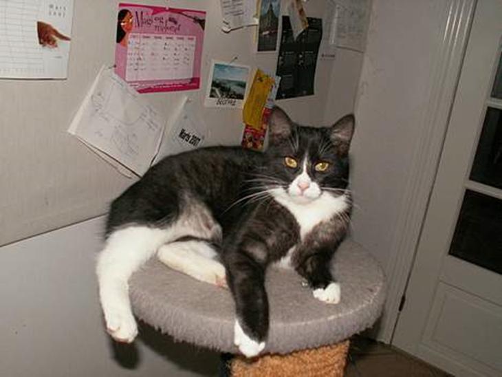 {{currentPhoto.altText}} billede {{currentPhoto.number}}