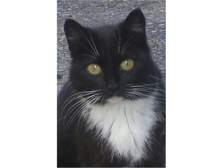 {{currentPhoto.altText}} billede {{currentPhoto.number}}