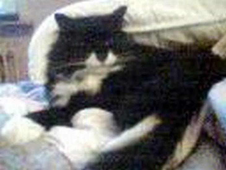 {{currentPhoto.altText}} billede {{currentPhoto.number}}