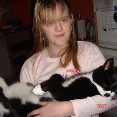 Huskat Spongi Jensen