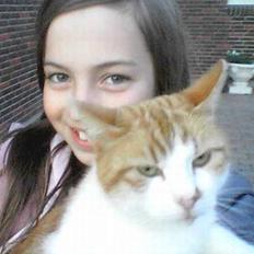 Blanding af racer Mille