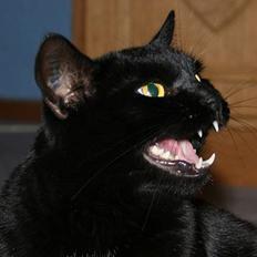 Blanding af racer Nokia