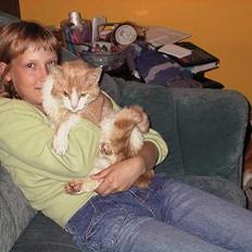 Huskat : Tino (forsvundet)