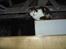 Blanding af racer Katten i haven (Missemor) - marts 2007