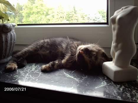 Huskat ronja (Forladt os) - Putter lige lidt.... c",) billede 3