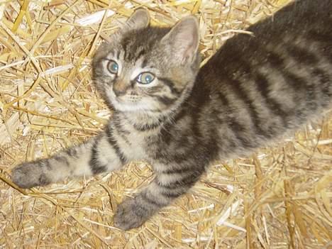 Huskat ANGLE<3 - årh dejlig og strække sig  <3 smiler <33 billede 2