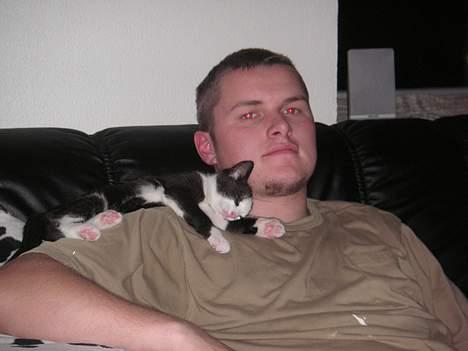 Huskat Magnus billede 10