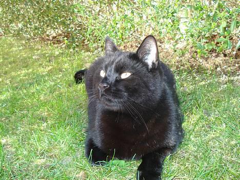 Huskat Nicky - Se hvor kær jeg er :) ? billede 1