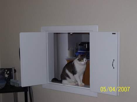 Blanding af racer bandit - her sidder jeg godt billede 4