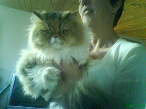 Perser Misja - Missens mor anastacia billede 6